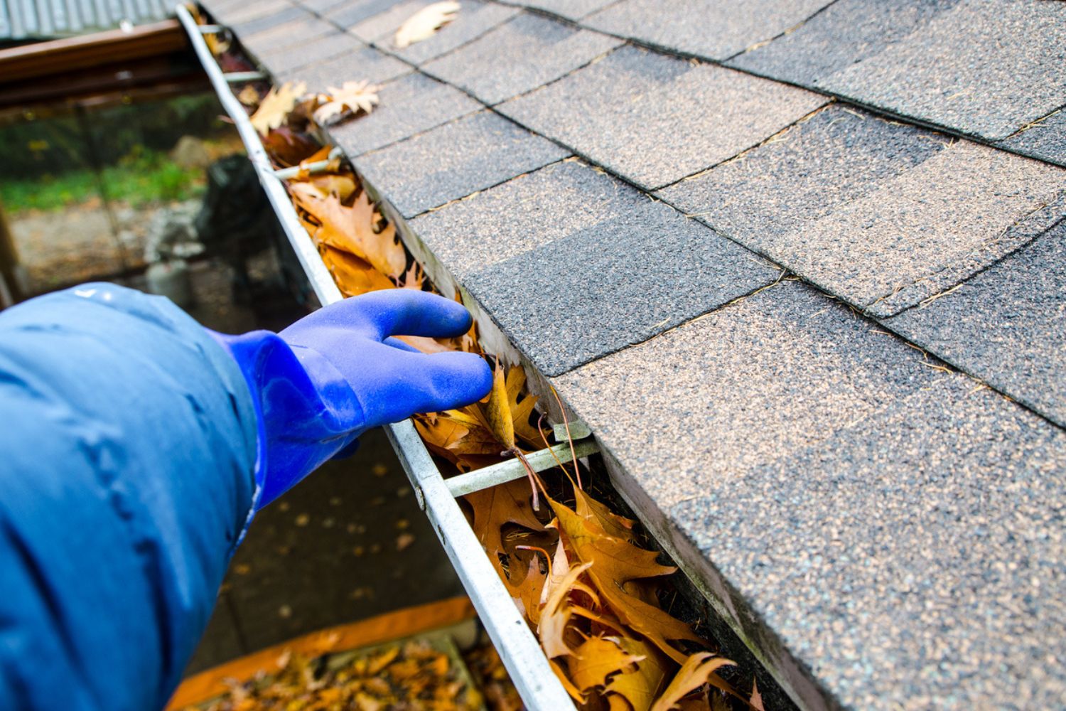 Gutter Cleaning Services