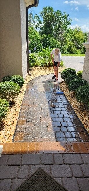 Driveway & Patio Paver Sealant & Protectant Services